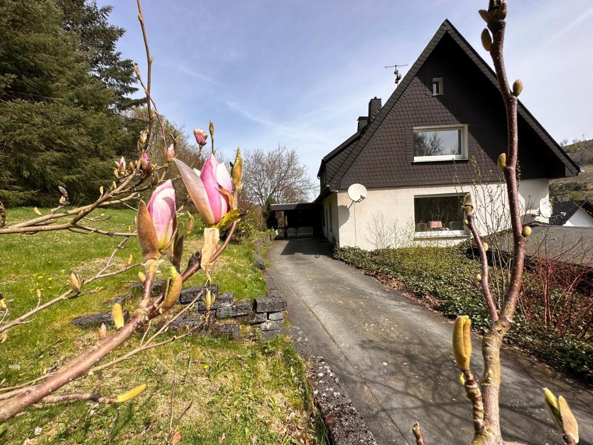 Charming Villa On The Forest In Wald 12 Guests Hugh Garden Willingen Sauerland Brilon Exterior foto